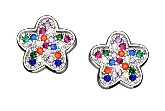 Silver Earrings Flower