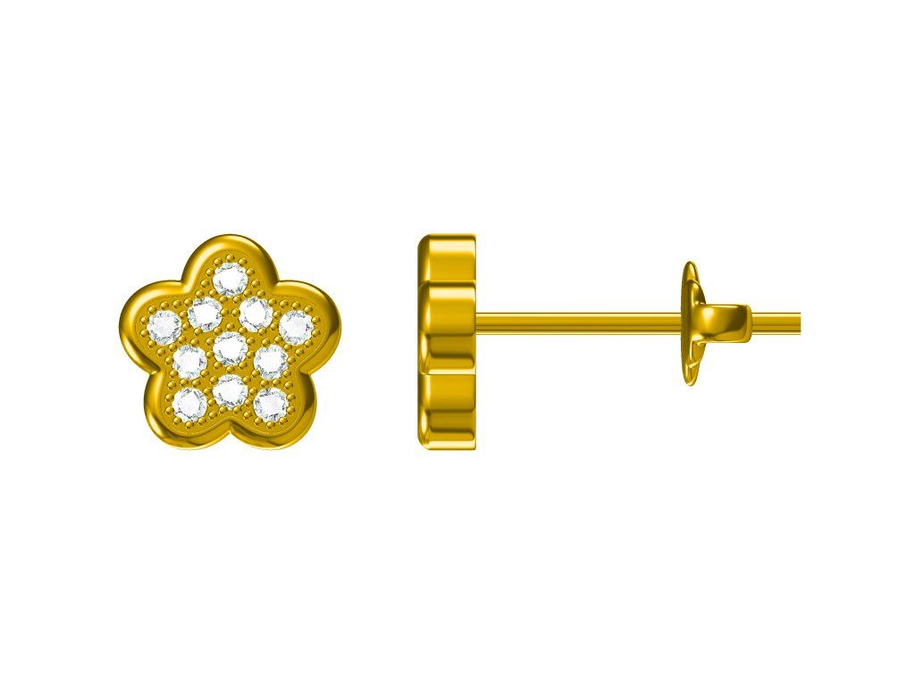 Silver Earrings Gold Plated