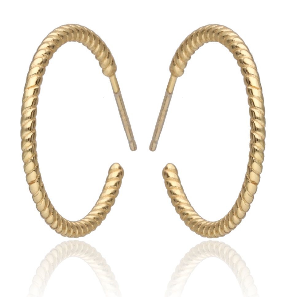 Silver Earrings Gold Plated