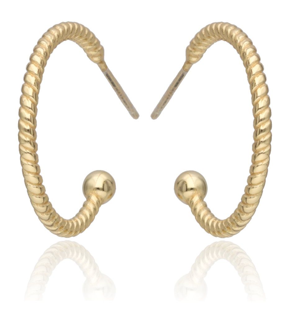 Silver Earrings Gold Plated