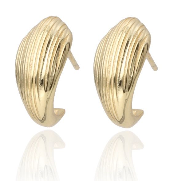 Silver Earrings Gold Plated