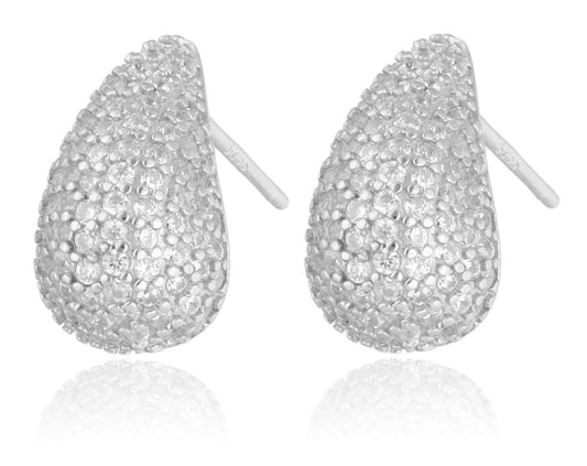 Silver Earrings Drop