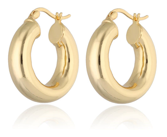 Silver Earrings Hoops 6X25mm Gold Plated