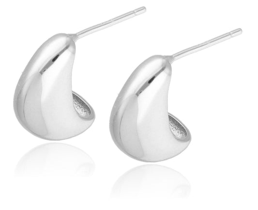 Silver Earrings 16M