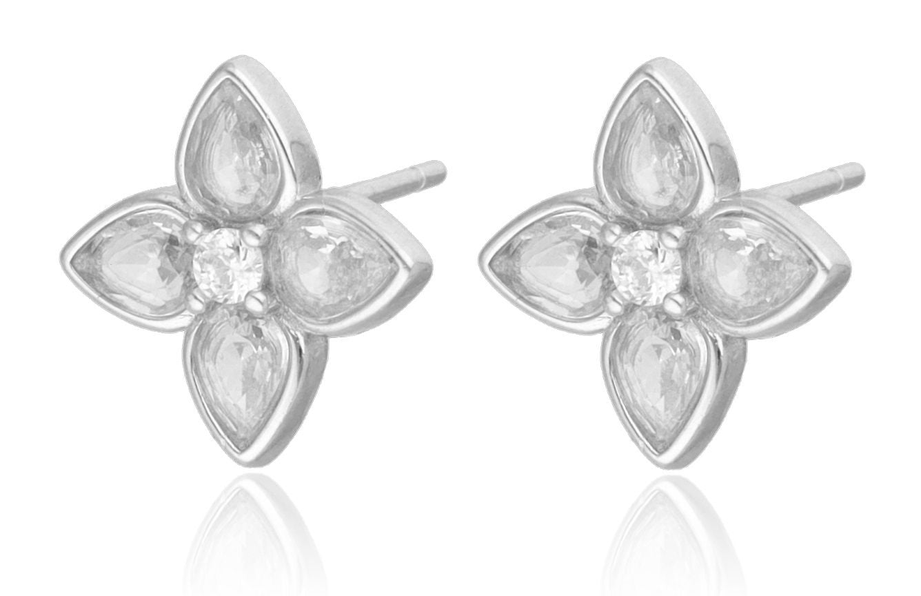 Silver Earrings 12m