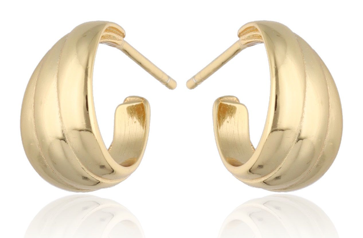 Silver Earrings gold plated 12.6m