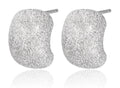 Silver Earrings 12.8m