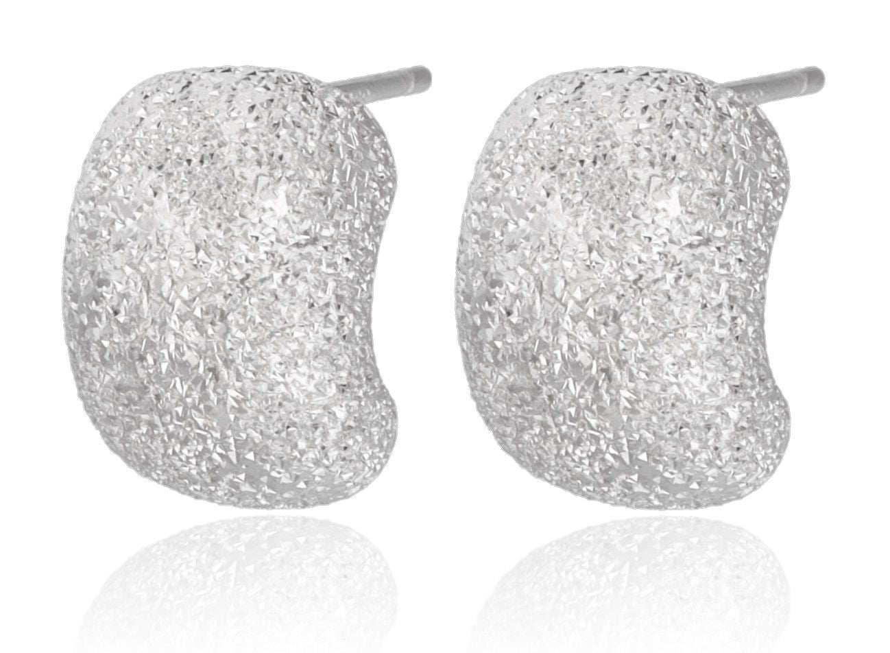 Silver Earrings 12.8m