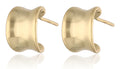 Silver Earrings gold plated 11m