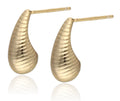 Silver Earrings gold plated 15.5m