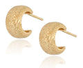 Silver Earrings gold plated 11.4m