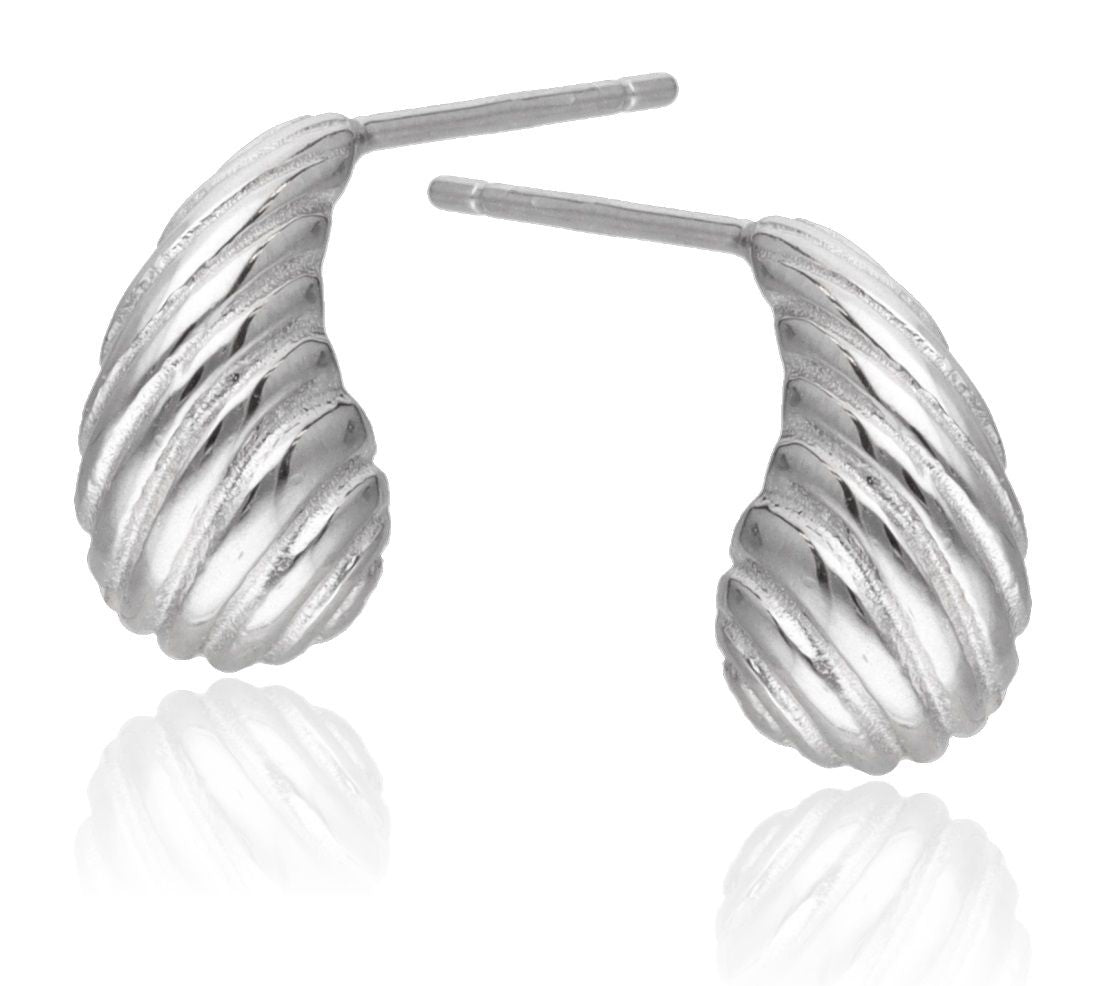 Silver Earrings drop 12.8m