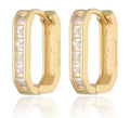 Silver Earrings gold plated 14.8m