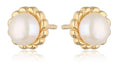 Silver Earrings gold plated pearl 7.3m
