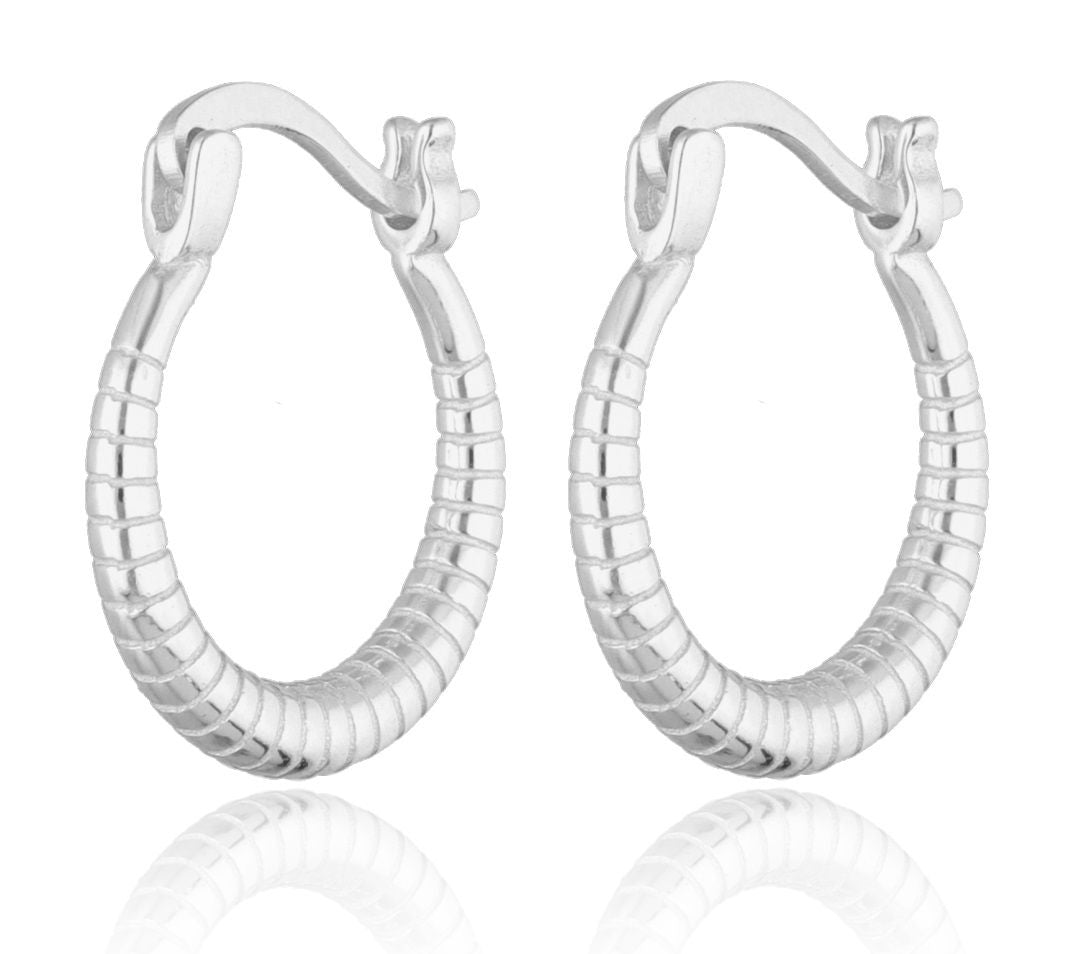Silver Earrings 15.6m
