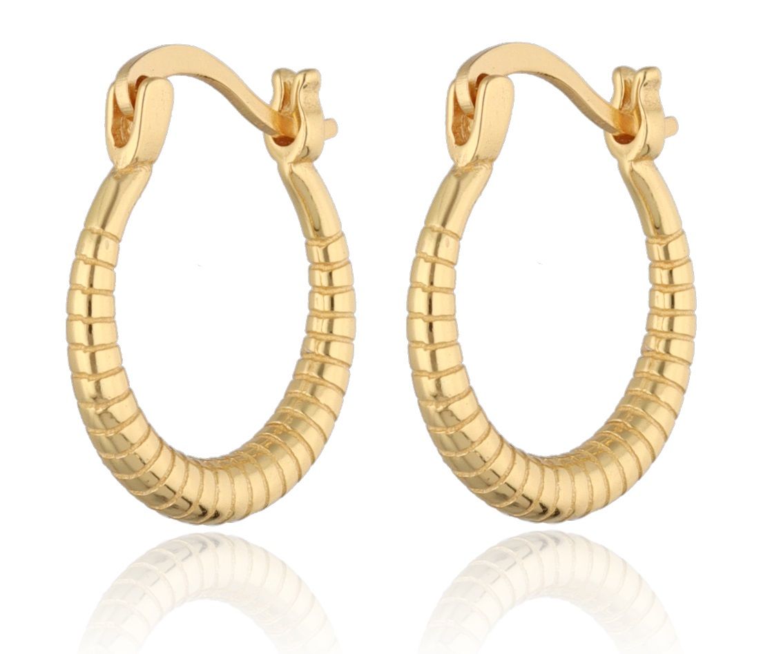 Silver Earrings gold plated 15.6m